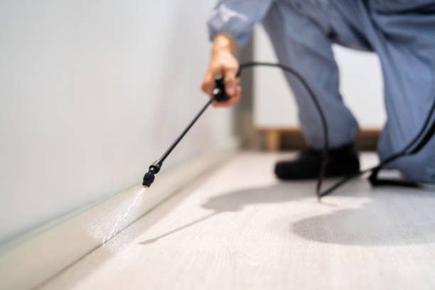 Licensed Pest Control service in Mason City, IL - Show Me Pest Control